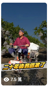 三十年後我回家了短影音封面